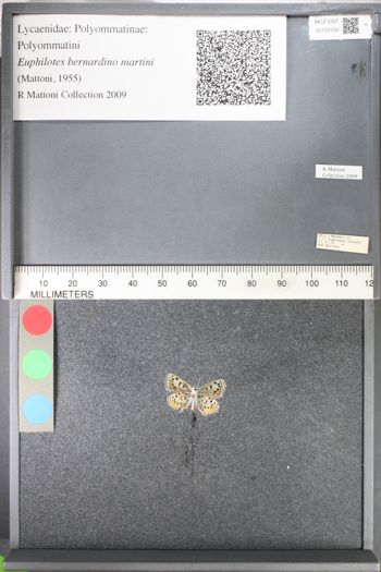 Media type: image;   Entomology 103150